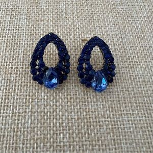 Blue Rhinestones Pierced Earrings